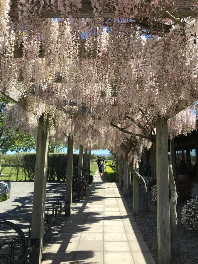 Te Waiharakeke Holiday Home เบลนิม ภายนอก รูปภาพ